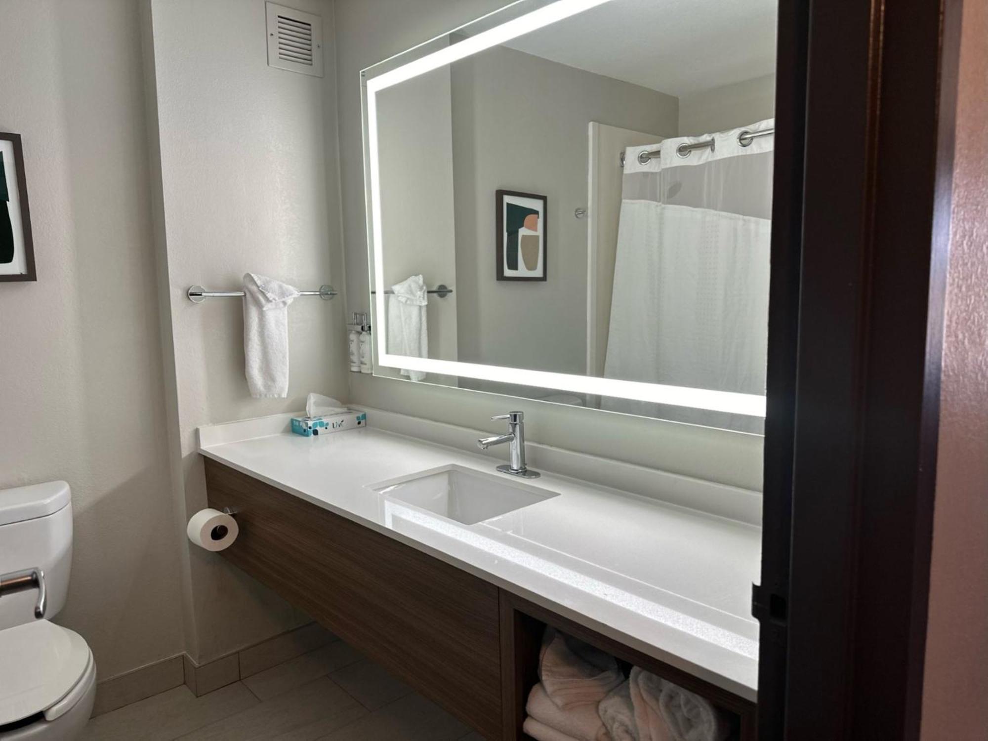 Holiday Inn Roanoke - Tanglewood Route 419 & I 581 By Ihg מראה חיצוני תמונה